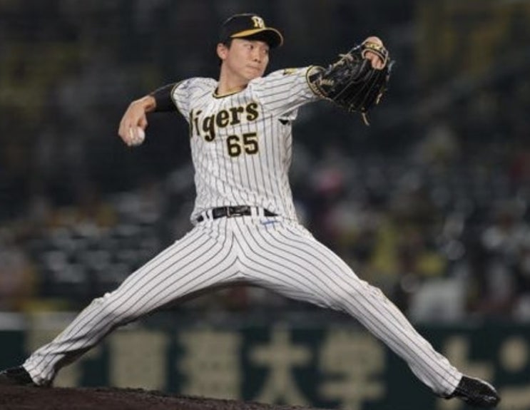 2023 NPB 일본프로야구 센트럴리그 7/30일 한신 히로카프(히로시마카프) 2023 NPB 일본프로야구 센트럴리그 7/30일 한신 히로카프(히로시마카프)