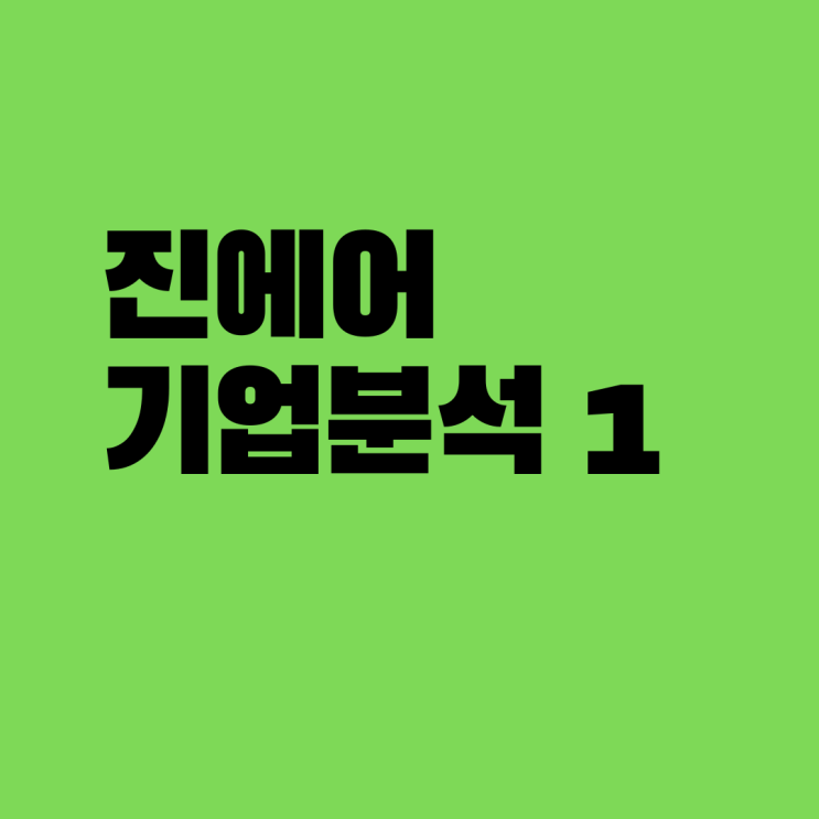  진에어 기업분석 1
