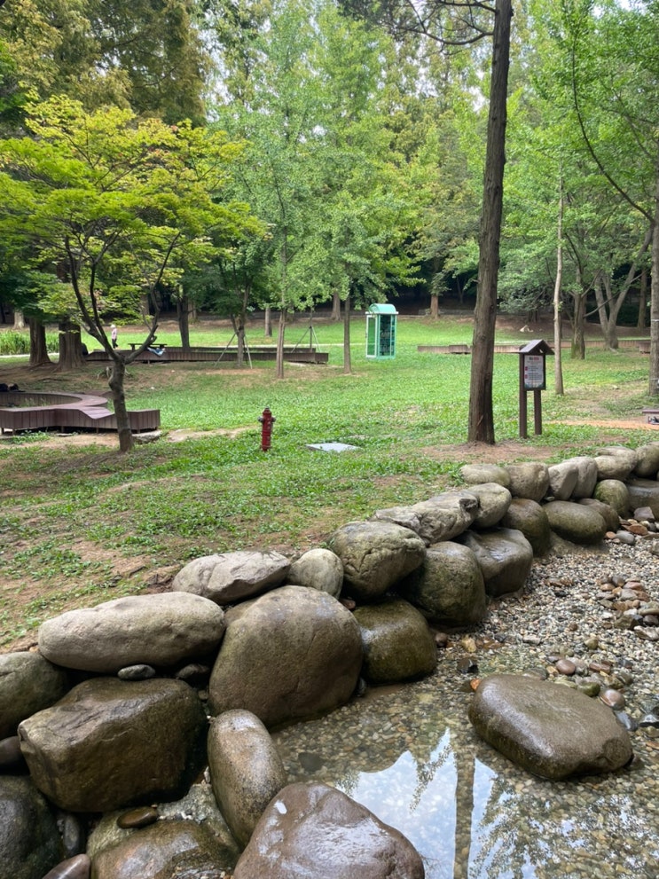  인천대공원 개울숲  인천대공원물놀이장소 후기