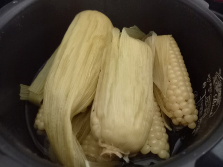  전기밥솥 옥수수 찌는법과 뉴슈가 양.