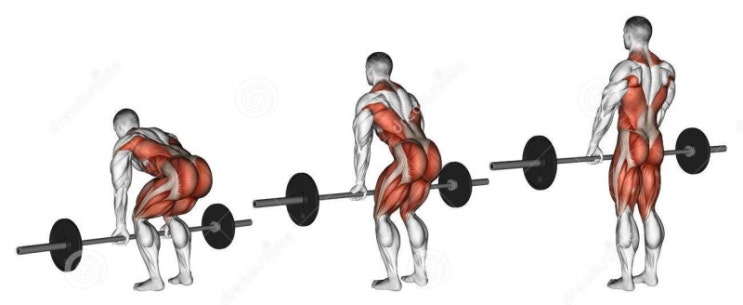  [봉담 경희GYM] 엄XX 회원 골반회전 교정 / 봉담 헬스 / 봉담 복싱 / 상리 헬스 / 상리 복싱 / 봉담 피티 / 상리 피티 / 봉담읍 피티 / 봉담읍 헬스