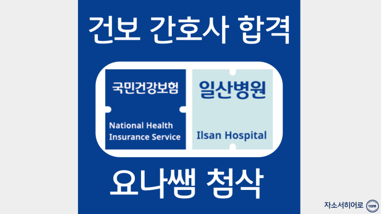  국민건강보험공단 일산병원 간호사 채용, 합격 자소서 첨삭