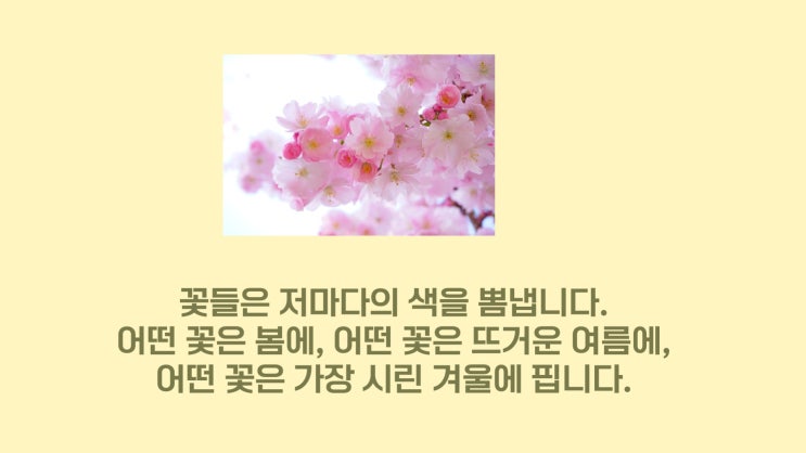  "나의 꽃"