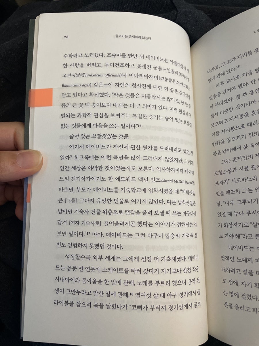 양임유원지 사진 4