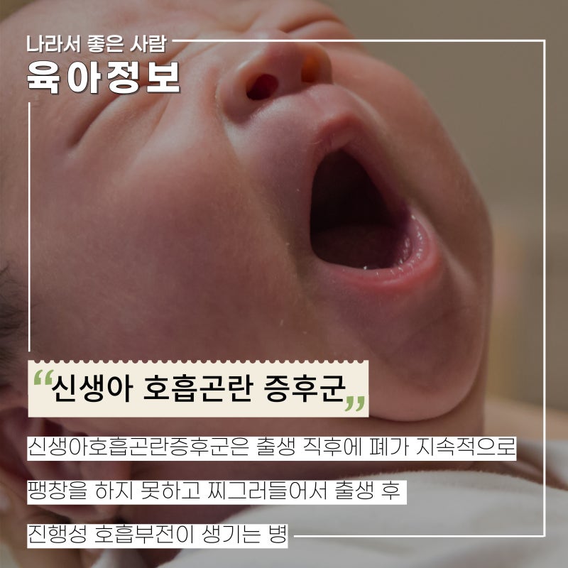 정상적인 신생아 입