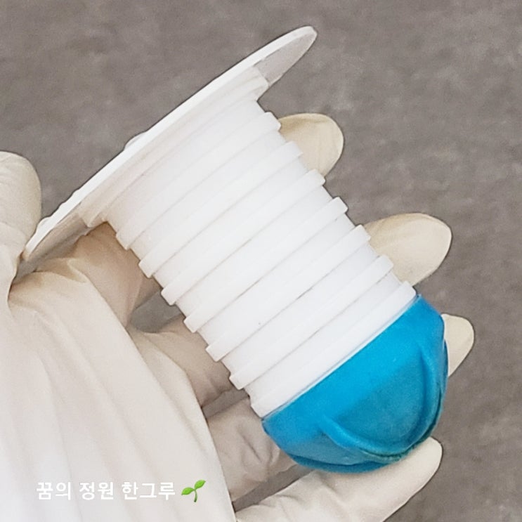  욕실 화장실 하수구 냄새 제거 날파리 모기 들어오는곳 차단 다이소 하수구트랩 문풍지로 해결