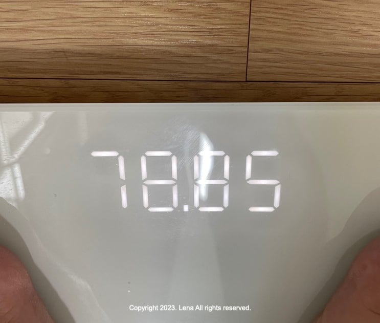  한약다이어트 #47일차 인천 여행 / 장칼, 광어, 우럭회