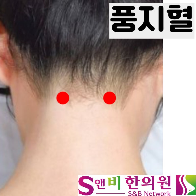 풍지혈, 풍부혈, 예풍혈 비염과 감기치료 필수혈자리 : 네이버 블로그