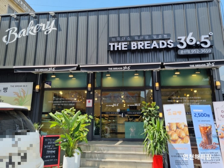  파주빵집 더브래드36.5 문산점 소금빵 쌀빵 맛집