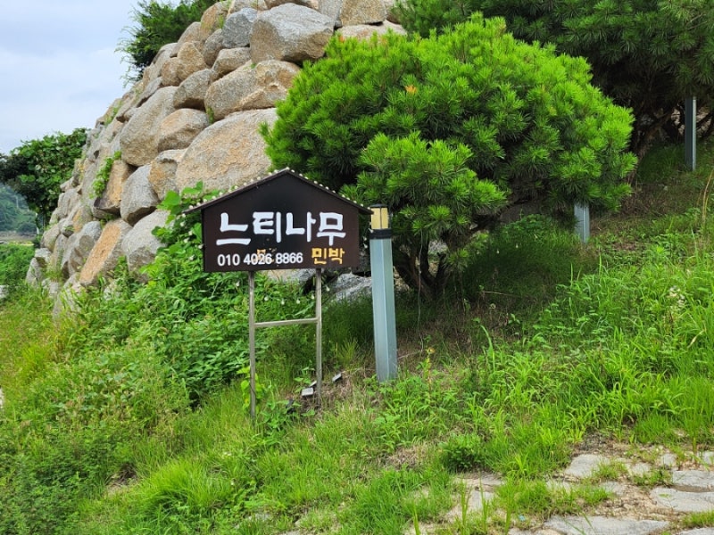 사진 6
