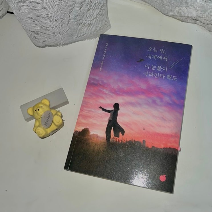  이치조 미사키 - 오늘 밤, 세계에서 이 눈물이 사라진다 해도 | 줄거리 | 책리뷰