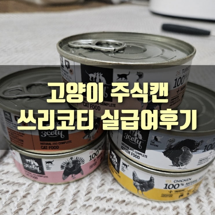  [리뷰] 고양이 주식캔 쓰리코티(3coty) 실급여 체험후기