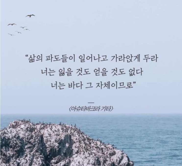 부거사이 [부동산 뉴스와 블로그] 7월 31일(월)