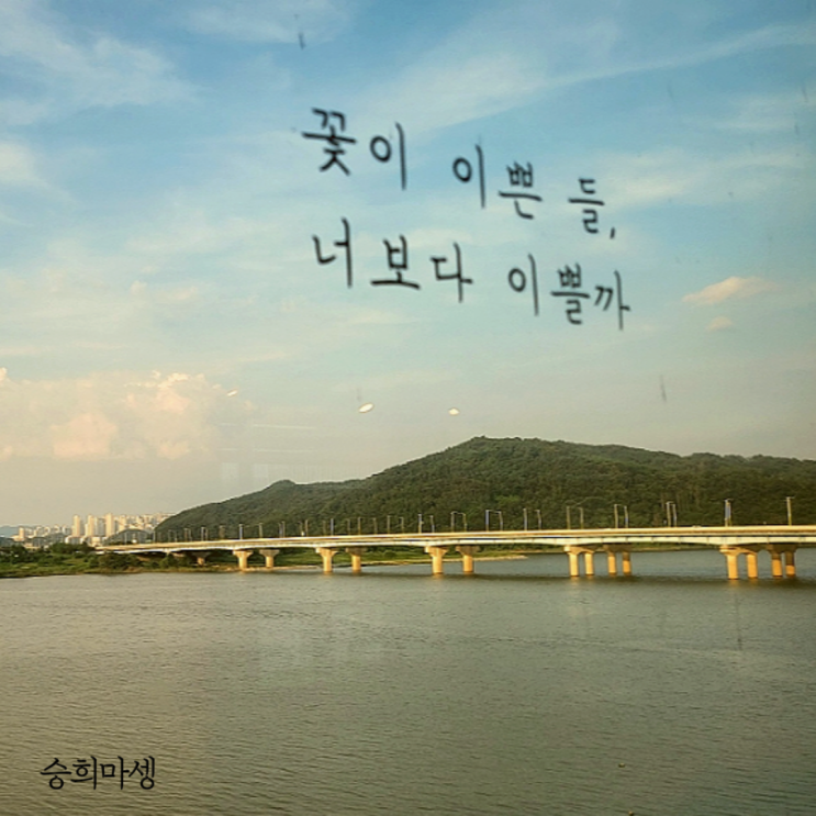  구미 더스토리 낙동강뷰 풍경이 아름다운 카페 후기