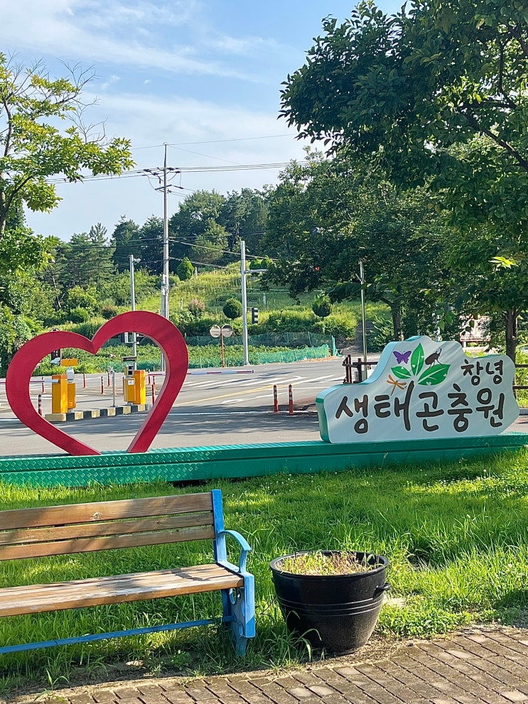  [ 경남 창녕 ] 창녕생태곤충원/우포 잠자리나라/실내체험관/곤충생태전시관/아이와 가볼 만한 곳