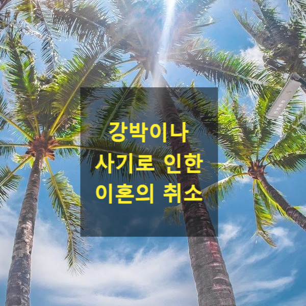  강박이나 사기로 인하여 이혼을 하게된 경우, 이혼의 취소의 방법