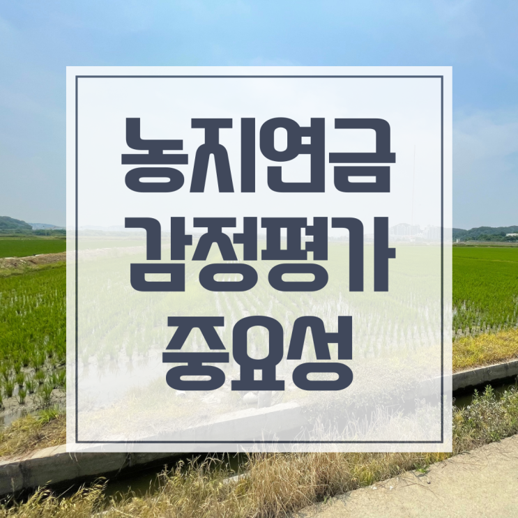  농지연금 감정평가로 연금 수령액 높여드린 사례