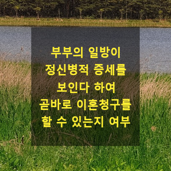  부부의 일방이 정신병적 증세를 보이는 경우 이혼청구를 할 수 있는지