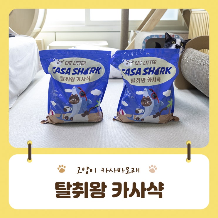  커피향 은은한 고양이 카사바모래 탈취왕카사샥으로 탈취와 굳기 모두를 잡아요