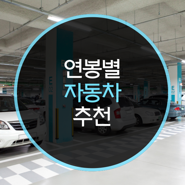  연봉별 차량은?