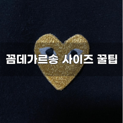  꼼데가르송 반팔티 실착 및 사이즈 꿀팁
