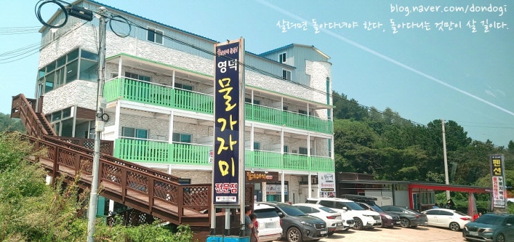  영덕 물가자미전문점 - 식객 허영만의 백반기행 맛집, 그리고 기름가자미