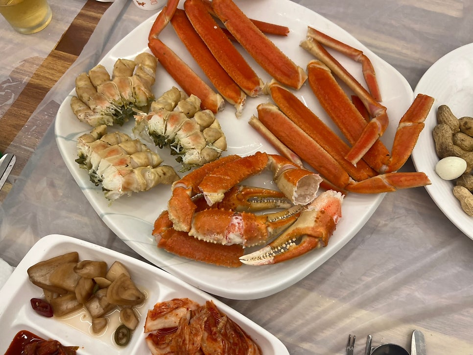 육육대게 사진 5