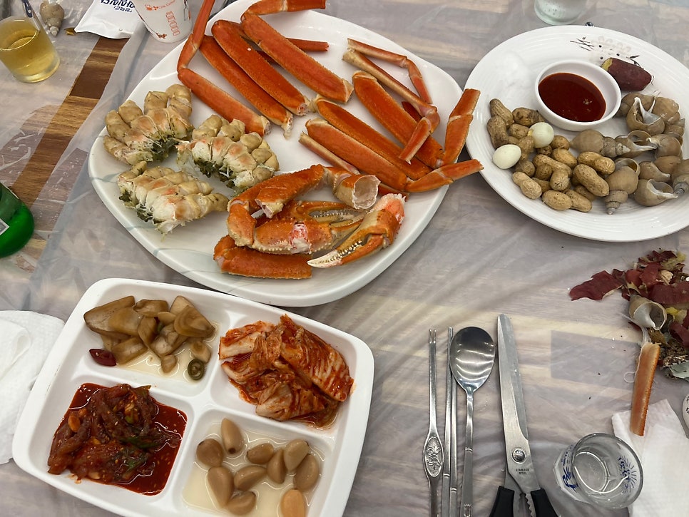 육육대게 사진 6