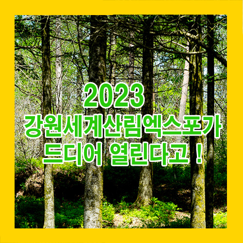  2023 강원세계산림엑스포가 드디어 열린다고 !