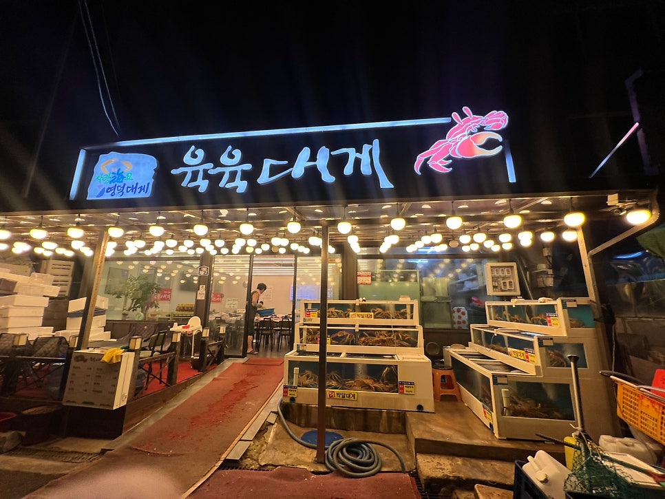 육육대게 사진 1