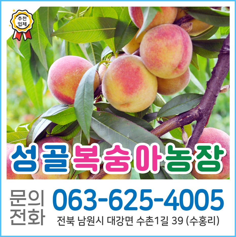 성골 사진 1
