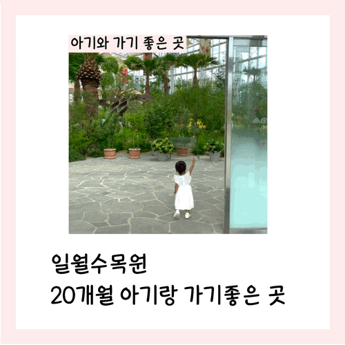  일월수목원 수원에서 20개월 아기랑 가기좋은 곳
