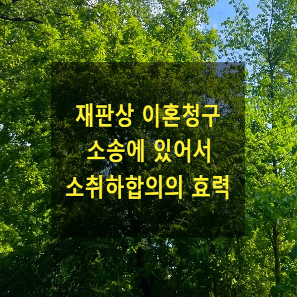  재판상 이혼청구 소송에 있어서 소취하합의의 효력