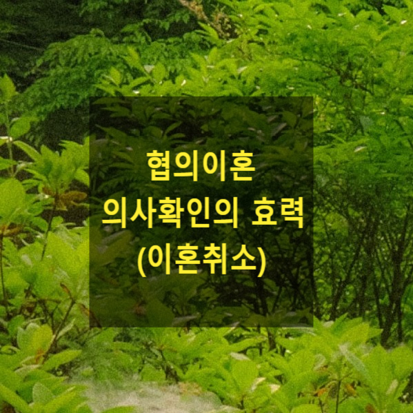  협의이혼의사확인의 효력(사기 강박으로 인한 이혼취소)