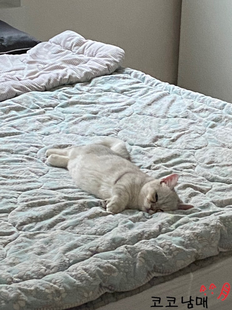  알고리즘