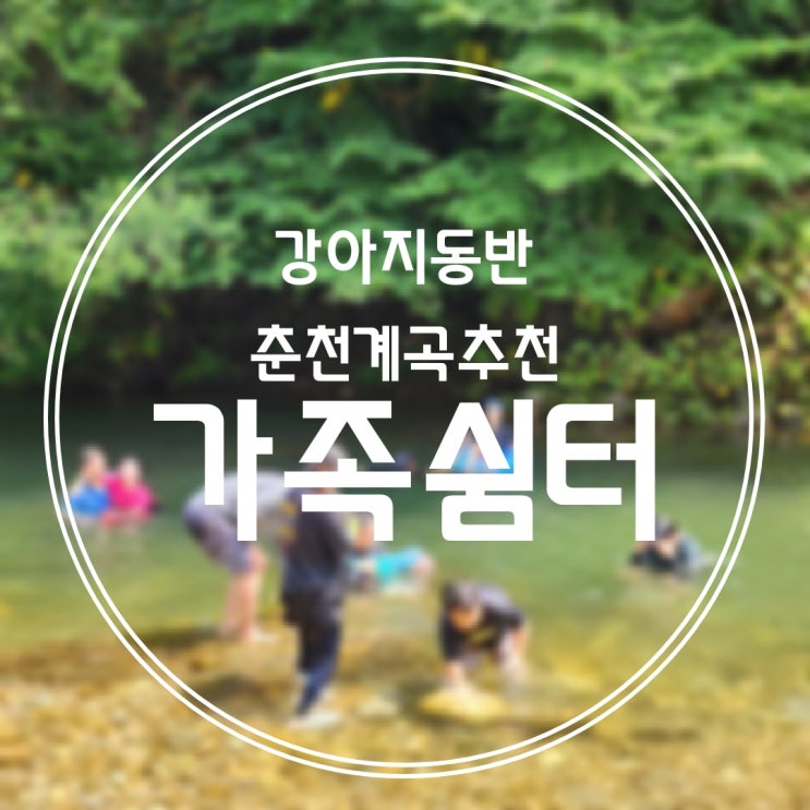  [춘천/지암리] 강아지 동반, 춘천 계곡 추천! 가족쉼터