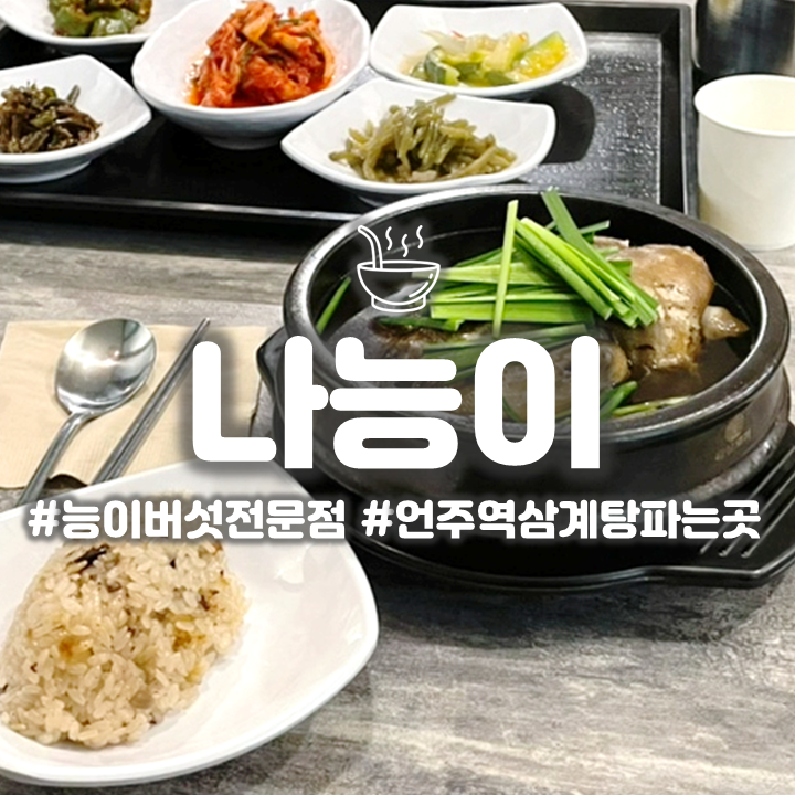  강남 언주역 삼계탕 맛집 '나능이' 복날맞아 원기충전하기 좋아