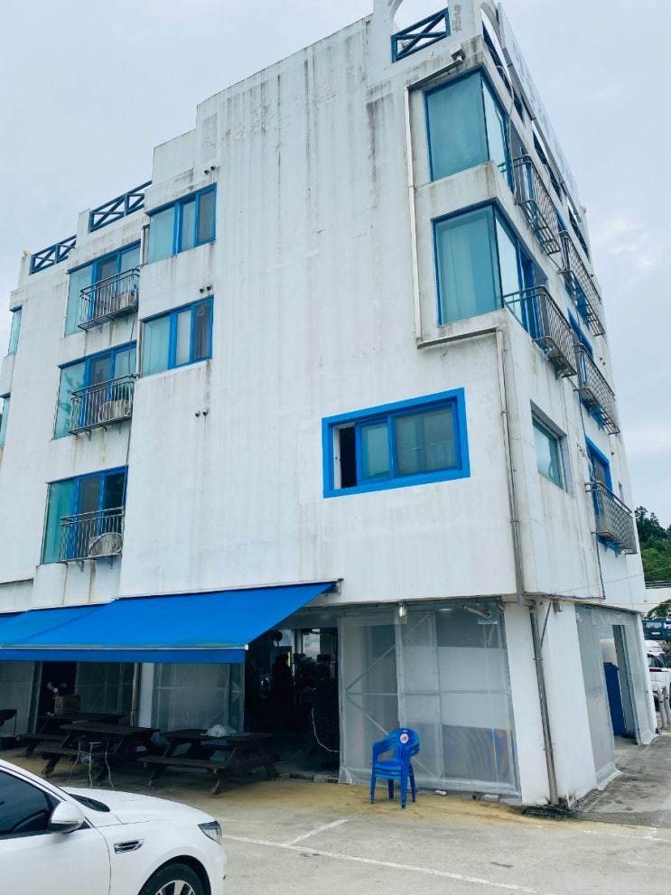  충북 청주 펜션 민들레미코펜션 1박2일 후기