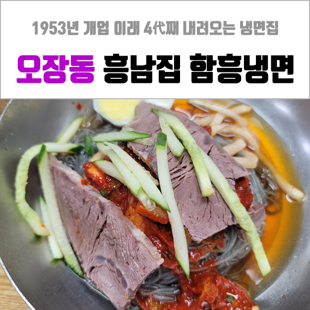  오장동 함흥냉면 - 흥남집 본점 내돈내먹 솔직 후기! 주차, 가격 정보까지~