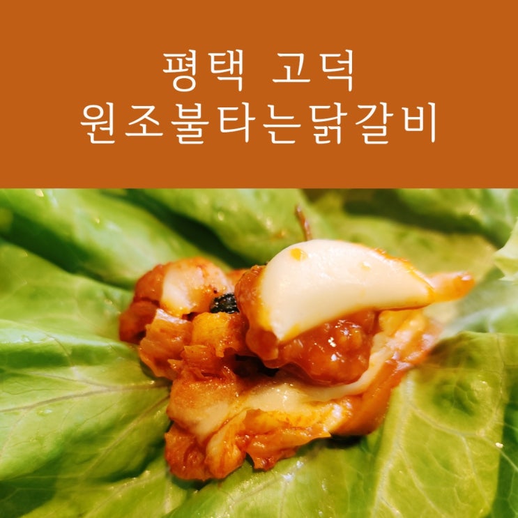  평택 고덕동 맛집 원조불타는닭갈비