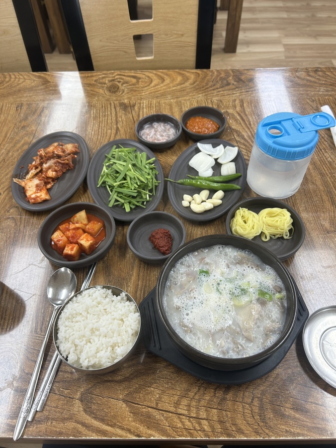  [진해] 창원국밥 석동 소문난 밀양돼지국밥