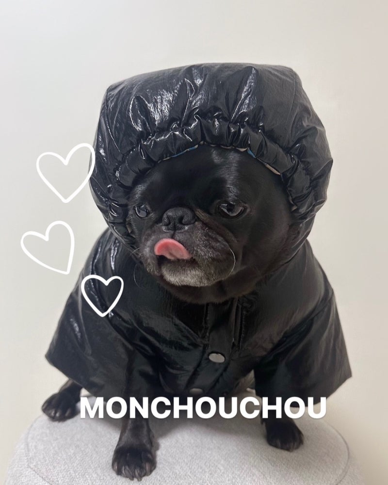 몽슈슈 강아지패딩