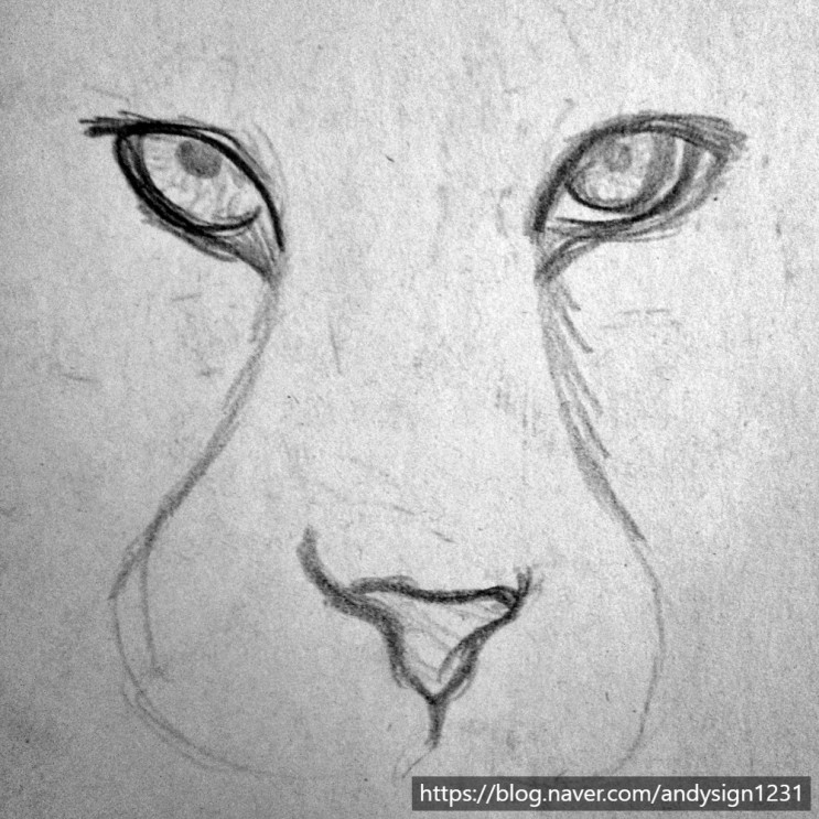 사자와 레서팬다, 고양이의 얼굴 그림