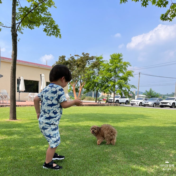 여주 아이랑 함께 잔디밭 로프 베이커리 카페