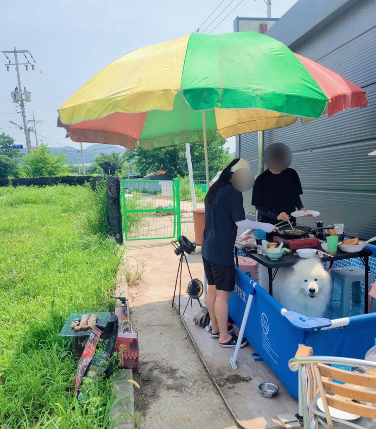  캠핑의 완성을 위한 웨버 차콜 브리켓! 새로운 바베큐 숯의 선택