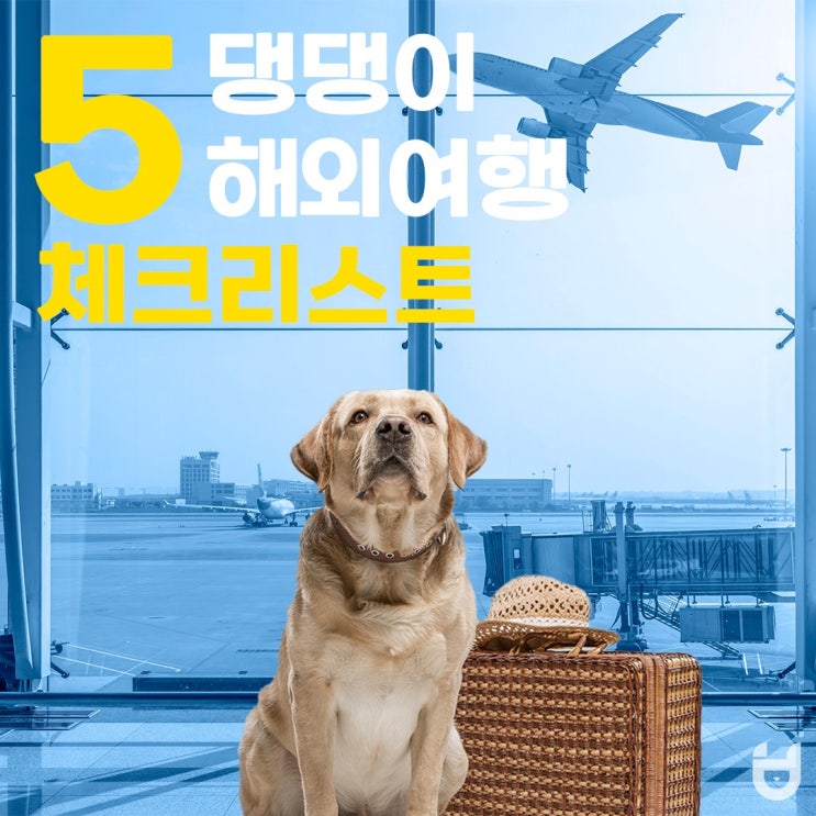  댕댕이와 해외여행 가기 전 체크해야 할 5가지