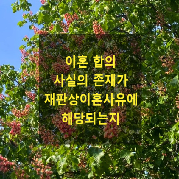  이혼 합의사실의 존재가 재판상이혼사유에 해당되는지