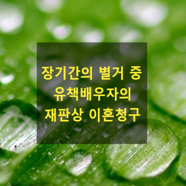  장기간의 별거 중 유책배우자의 재판상 이혼청구가 가능한지