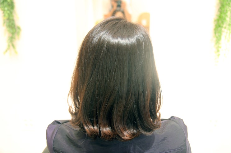 광교염색 전문샵 틴트라이프 세련된 헤어 컬러를 만들고 싶다면? 광교염색 전문샵 틴트라이프 세련된 헤어 컬러를 만들고 싶다면?
