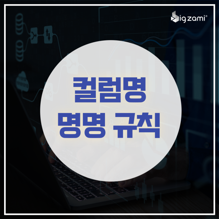  [BigZami] 컬럼명 규칙 - 변수명, 특수문자, 숫자, 빈칸, 노코드 분석